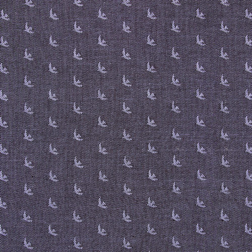 Birds - Magpie