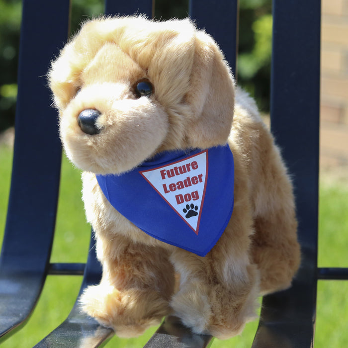 Plush Puppy - Golden Retriever