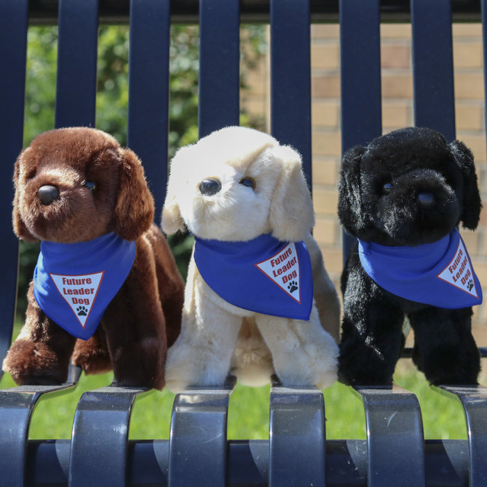 Plush Puppy - Labrador Retriever