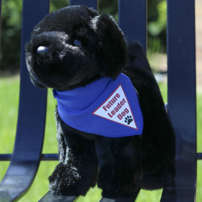 Plush Puppy - Labrador Retriever