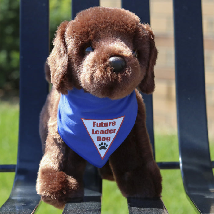Plush Puppy - Labrador Retriever