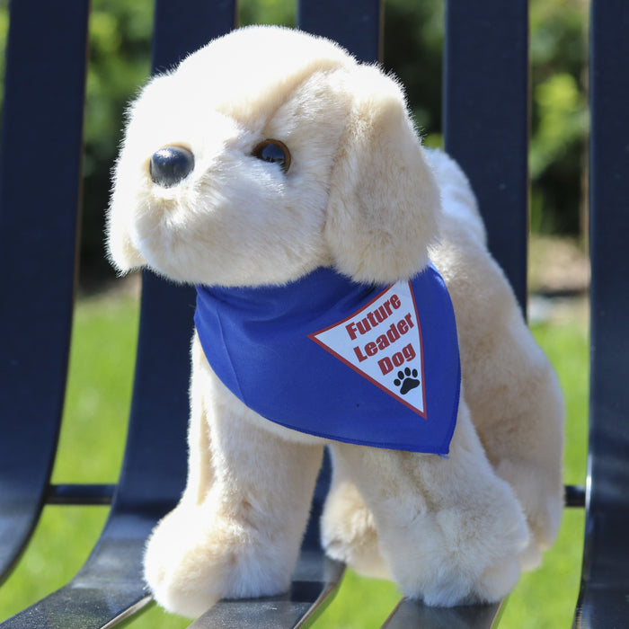 Plush Puppy - Labrador Retriever