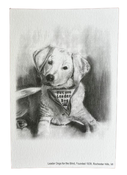 Postcard - Leader Dog Puppy