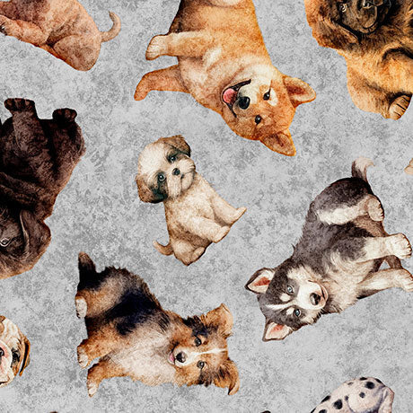 QT Fabrics Puppy Toss on Gray Novelty 100% Cotton Price per Yard Novelty