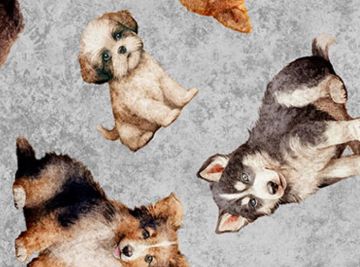 QT Fabrics Puppy Toss on Gray Novelty 100% Cotton Price per Yard Novelty