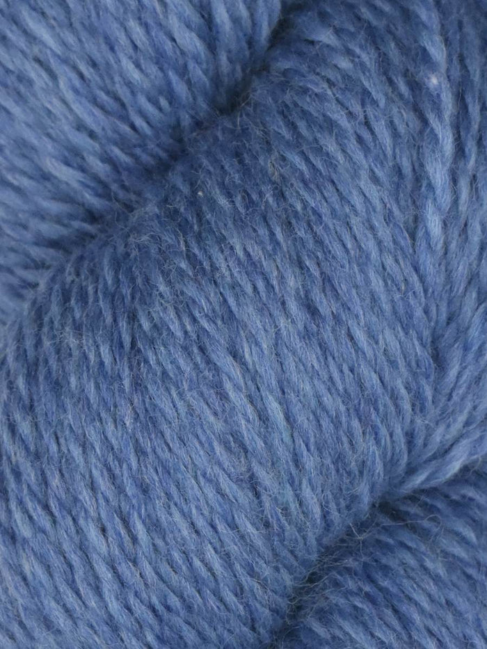1011 - Bluejeans