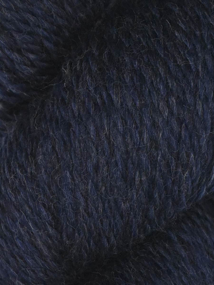 1013 - Peacock