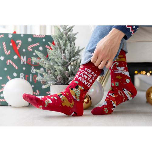 Santa Paws men’s socks – festive holiday socks with dogs in Santa hats