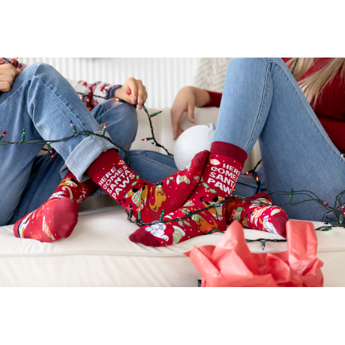 Santa Paws men’s socks – festive holiday socks with dogs in Santa hats