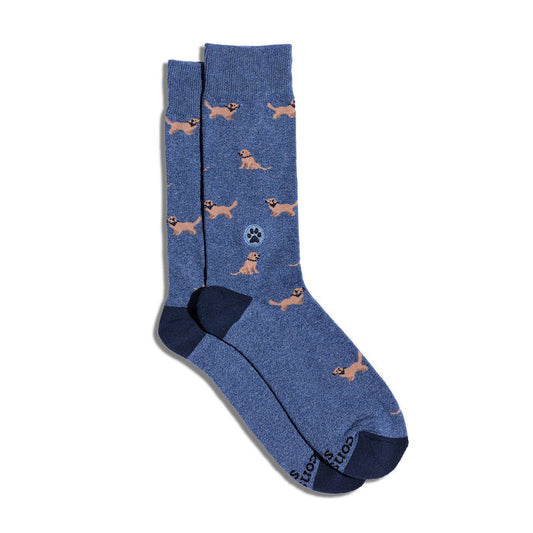 Socks that Save Dogs | Golden Retrievers