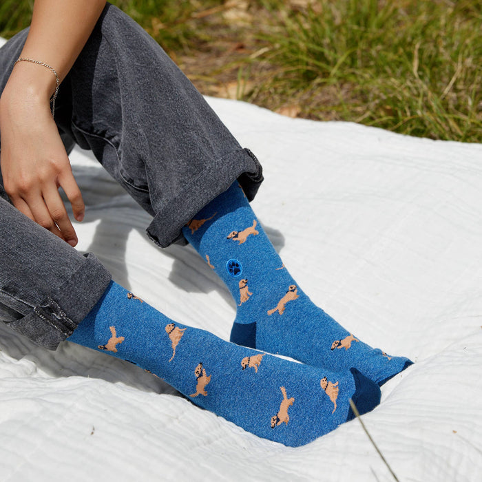 Socks that Save Dogs | Golden Retrievers