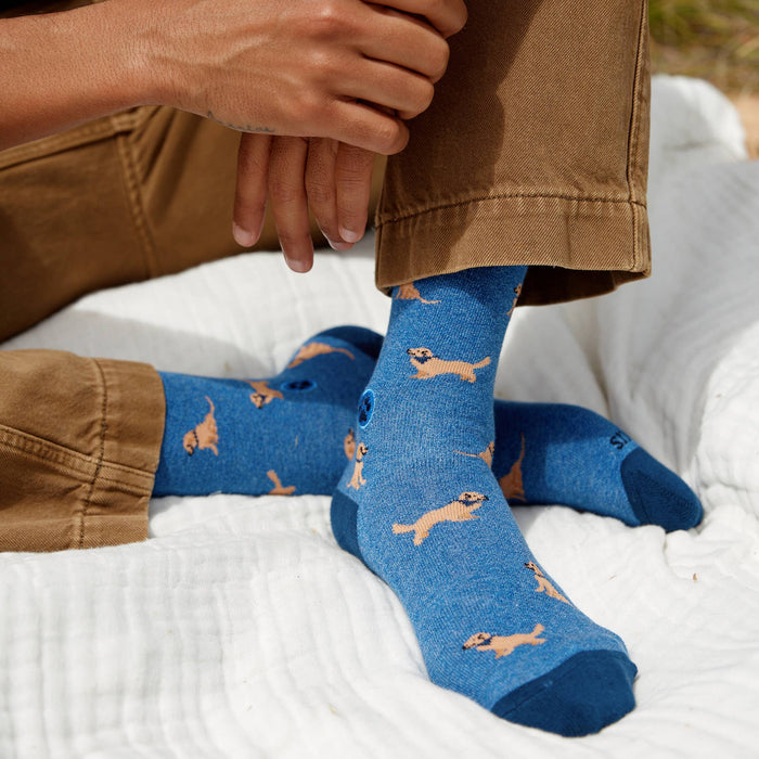 Socks that Save Dogs | Golden Retrievers