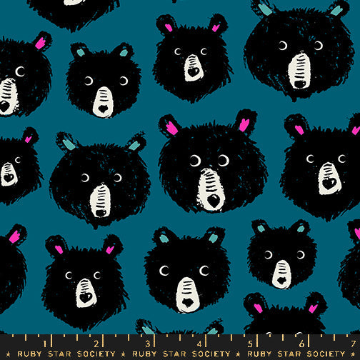 Teddy and the Bears