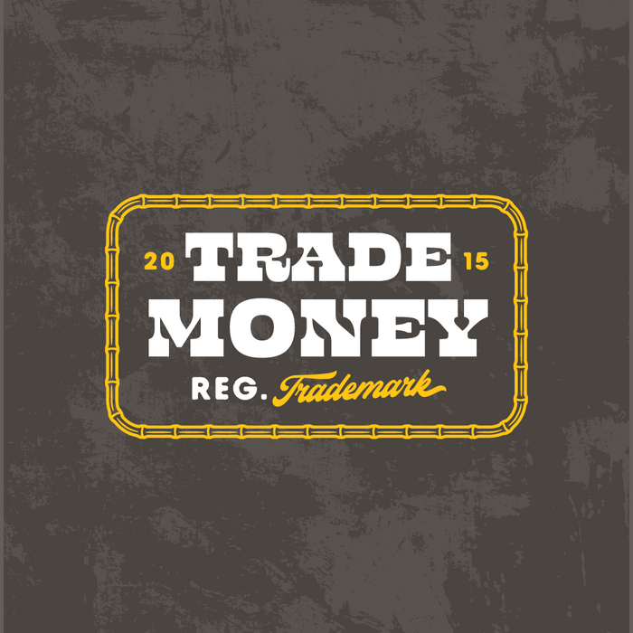 Trade Money The Lockdown heavy t-shirt in faded grey, additional product view