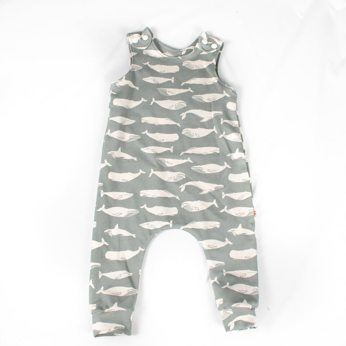 Grey Whales / 3-9m