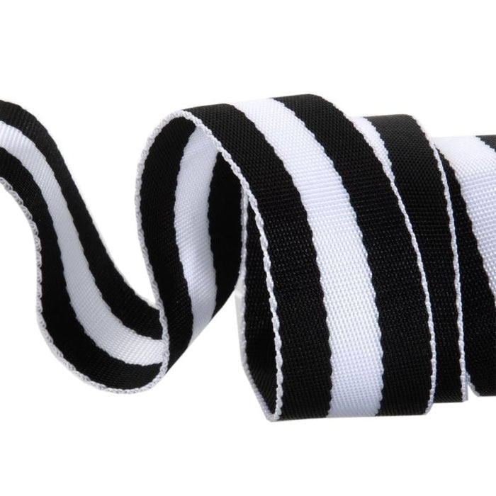 Tula Pink Striped Webbing