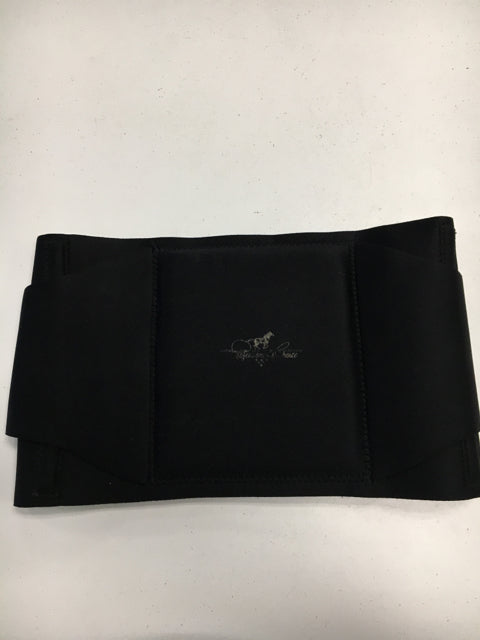 Used Misc. Exercise Back Brace