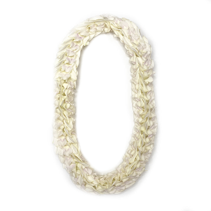 White orchid pikki-style lei with clustered orchid blooms