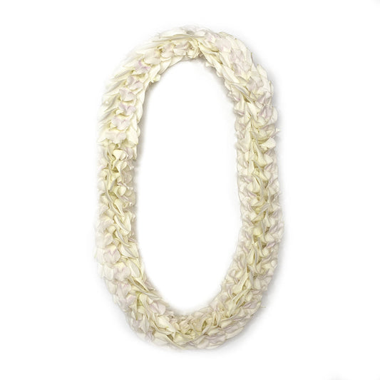 White orchid pikki-style lei with clustered orchid blooms