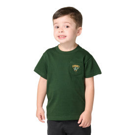 Carhartt youth short-sleeve St. Patrick's Day graphic t-shirt in mountain view
